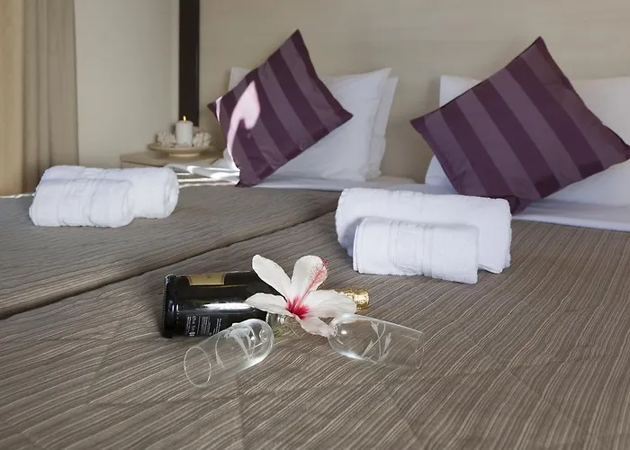 弗朗索瓦丝酒店 加利萨斯